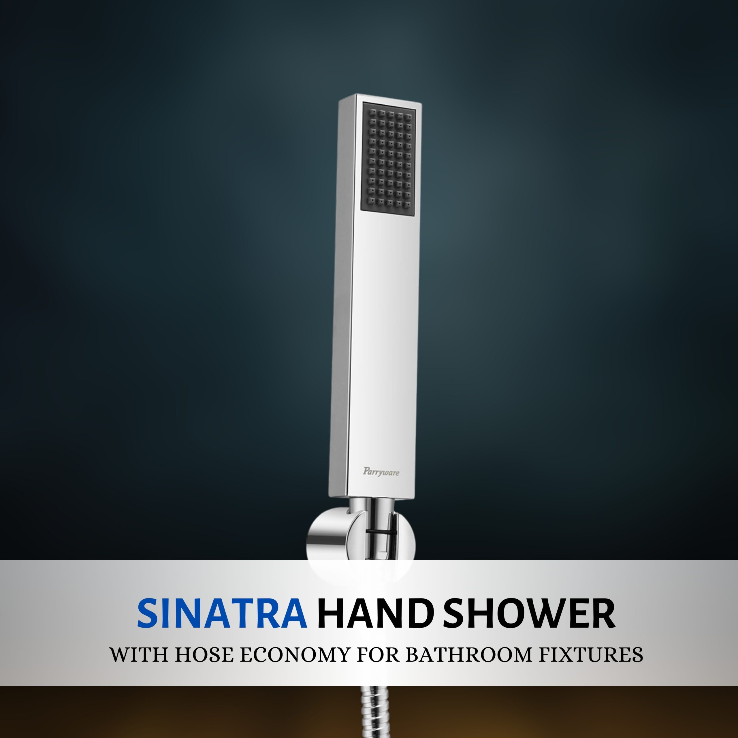Parryware Sinatra T9946A1 Brass Hand Shower with Hose and Clutch (Silver)